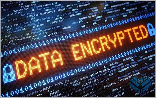 A Guide to Choosing the Best Encryption Software for Businesses